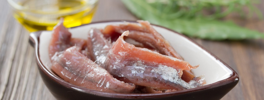 anchoas del cantabrico