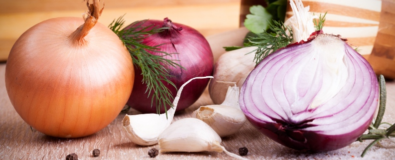Alargar la vida de los alimentos