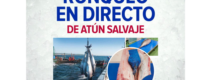 atun salvaje