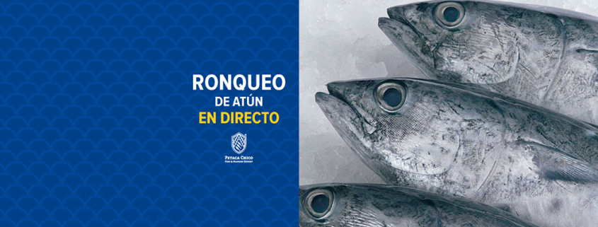 ronqueo de atun