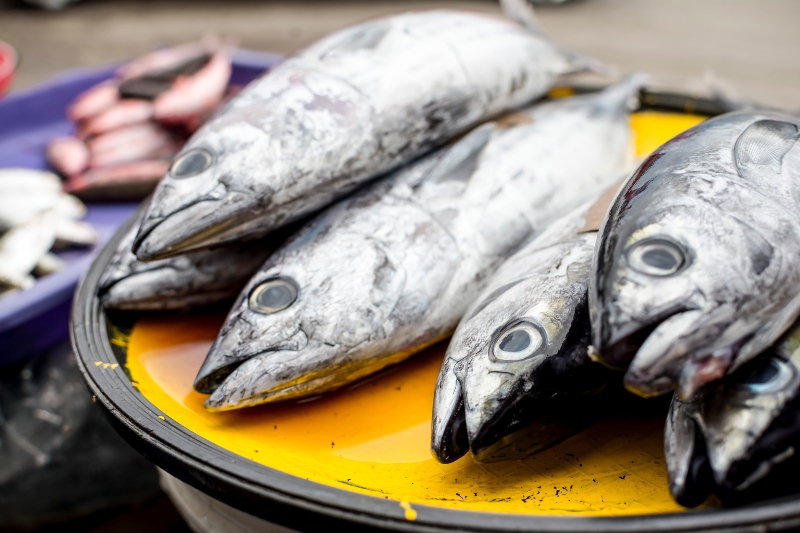 pescado azul con mas omega 3