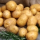 recetas con patatas de sanlucar