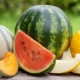beneficios de la sandia y el melon
