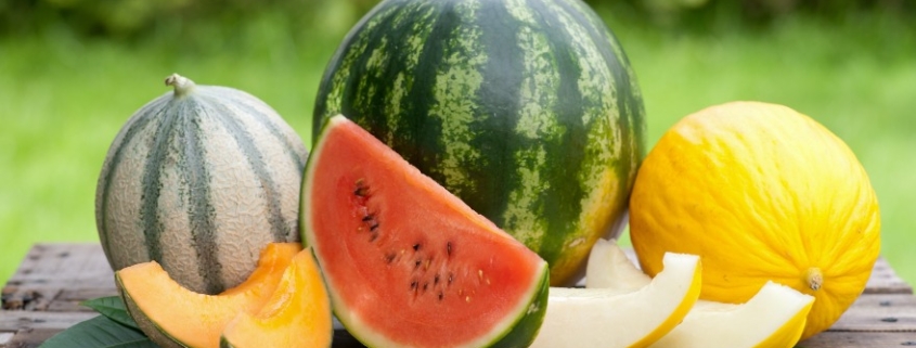 beneficios de la sandia y el melon