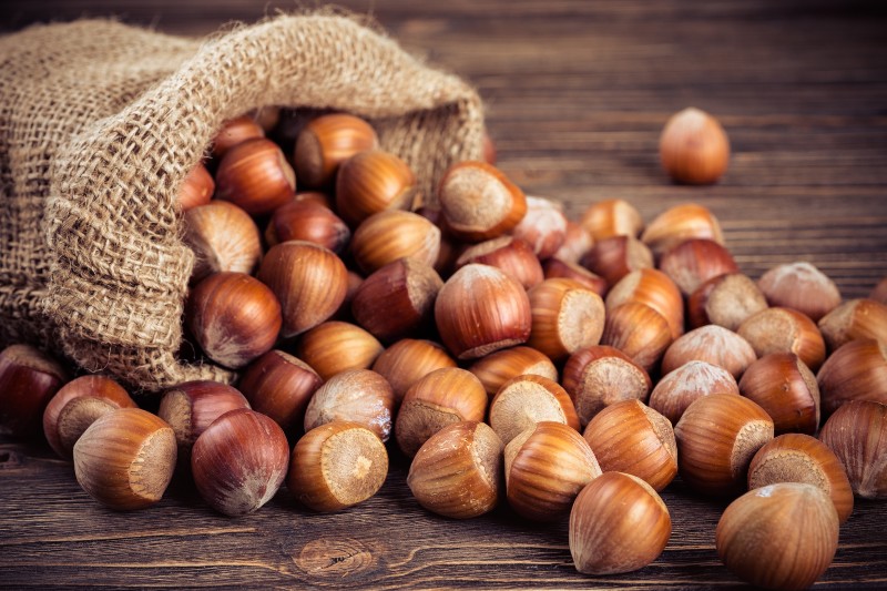 avellanas frutos secos otoño