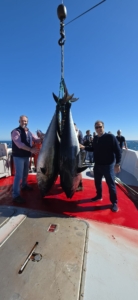 primera levanta de barbate