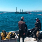 El atún rojo de la primera levantá de Barbate llega a Cash Fresh primera levanta de atun de barbate