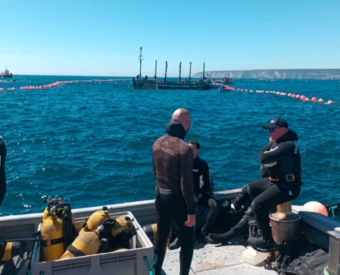 primera levanta de atun de barbate