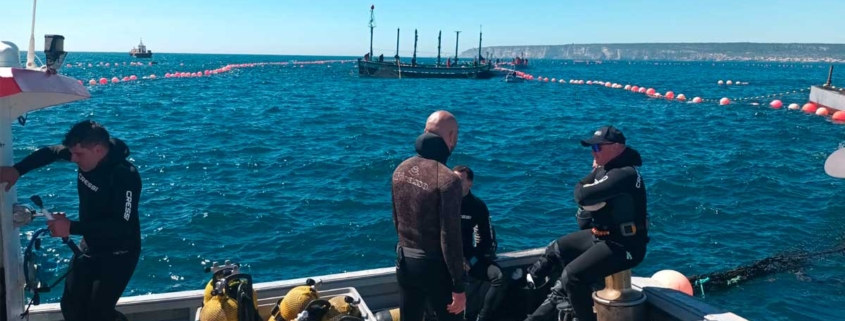 primera levanta de atun de barbate