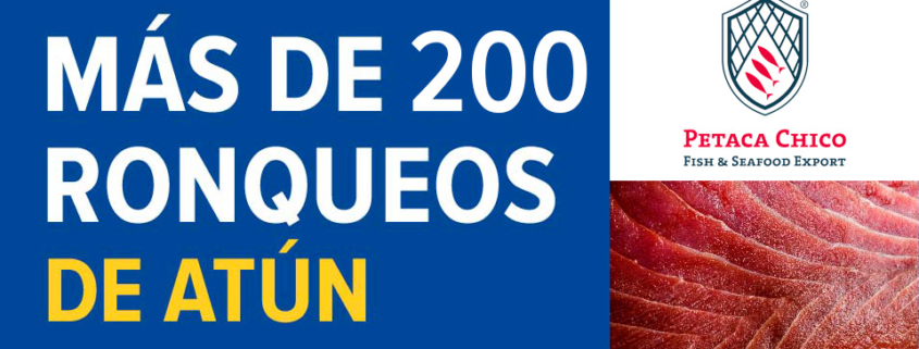 ronqueo de atun en directo