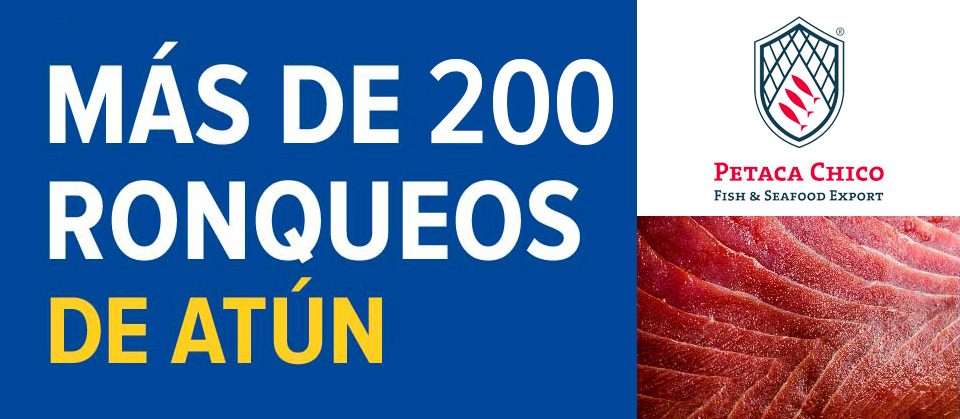ronqueo de atun en directo